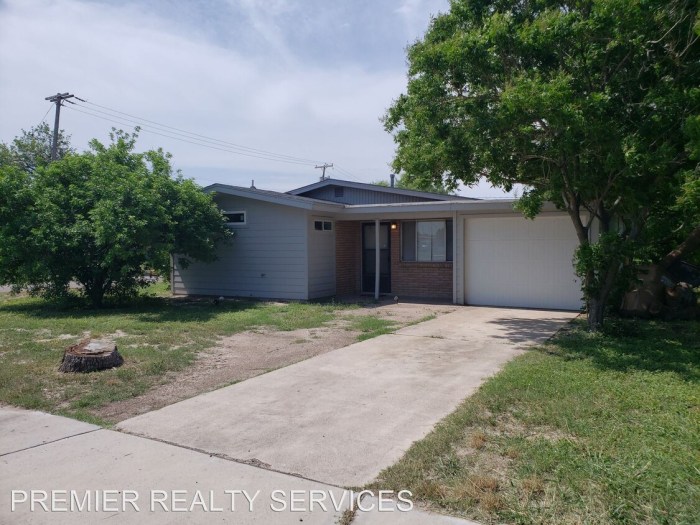 Houses for rent in edinburg tx